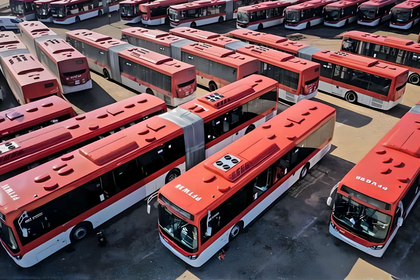 buses red